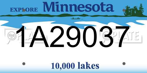 1A29037 Minnesota License Plate