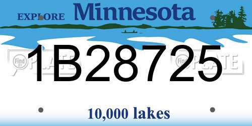 1B28725 Minnesota License Plate