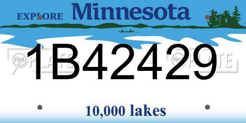 1B42429 Minnesota License Plate