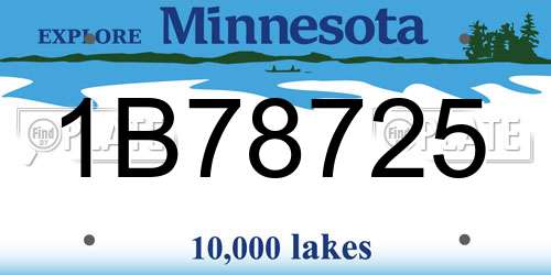 1B78725 Minnesota License Plate