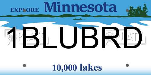 1BLUBRD Minnesota License Plate
