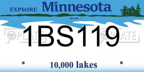 1BS119 Minnesota License Plate