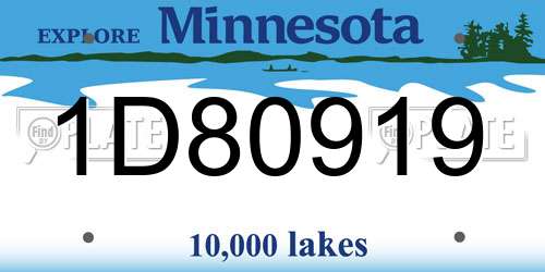 1D80919 Minnesota License Plate