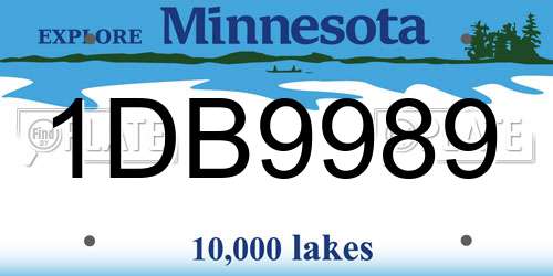 1DB9989 Minnesota License Plate