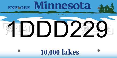1DDD229 Minnesota License Plate