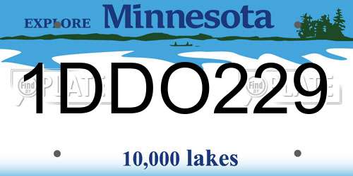 1DDO229 Minnesota License Plate
