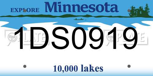 1DS0919 Minnesota License Plate