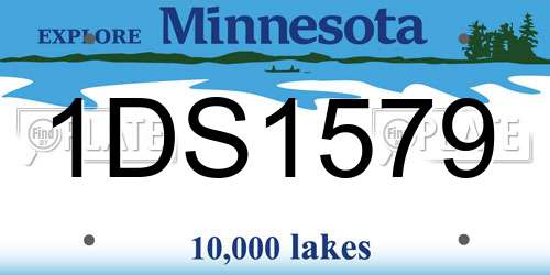 1DS1579 Minnesota License Plate