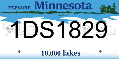 1DS1829 Minnesota License Plate