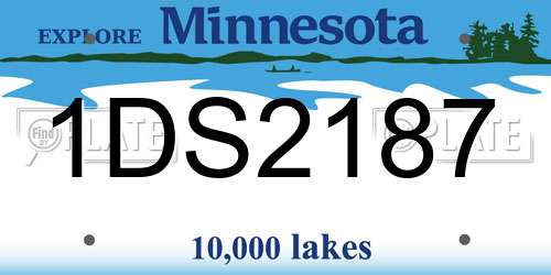 1DS2187 Minnesota License Plate