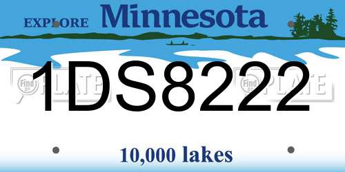 1DS8222 Minnesota License Plate