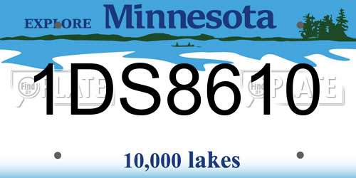 1DS8610 Minnesota License Plate