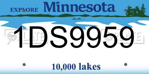 1DS9959 Minnesota License Plate