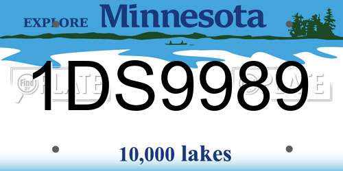 1DS9989 Minnesota License Plate