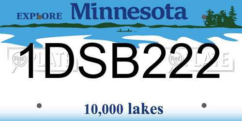 1DSB222 Minnesota License Plate