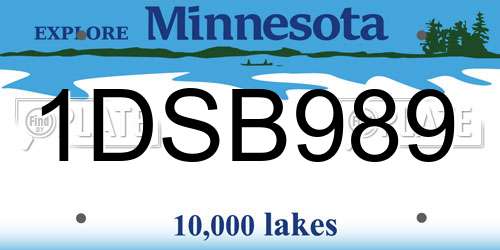 1DSB989 Minnesota License Plate