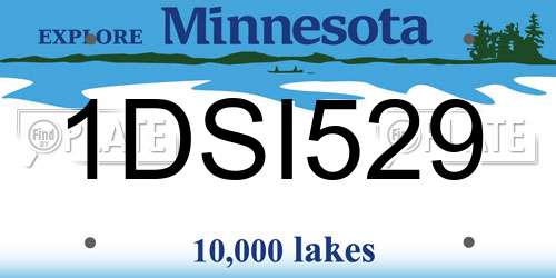1DSI529 Minnesota License Plate