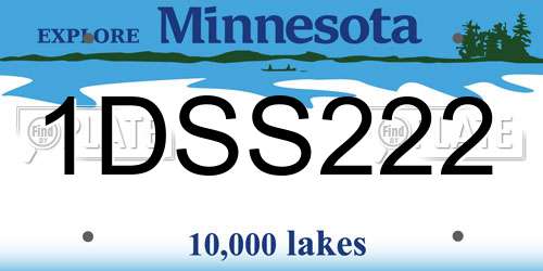 1DSS222 Minnesota License Plate