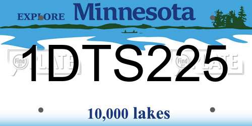 1DTS225 Minnesota License Plate