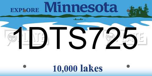 1DTS725 Minnesota License Plate