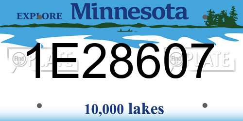 1E28607 Minnesota License Plate
