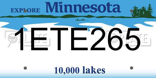 1ETE265 Minnesota License Plate