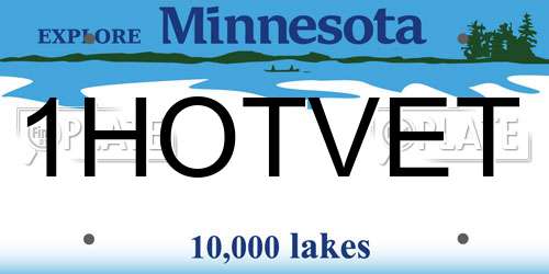 1HOTVET Minnesota License Plate