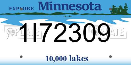 1I72309 Minnesota License Plate