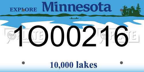 1O00216 Minnesota License Plate