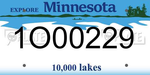 1O00229 Minnesota License Plate