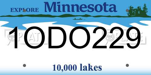 1ODO229 Minnesota License Plate