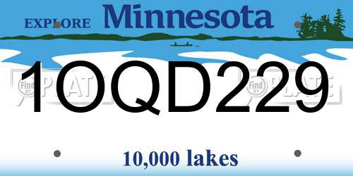 1OQD229 Minnesota License Plate