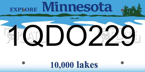 1QDO229 Minnesota License Plate