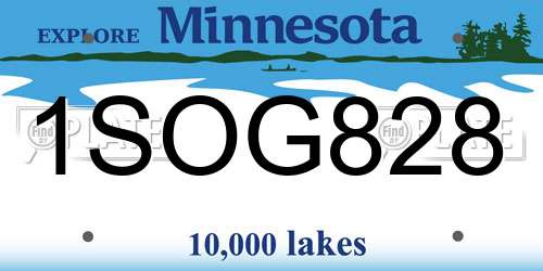 1SOG828 Minnesota License Plate