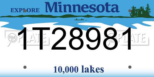1T28981 Minnesota License Plate