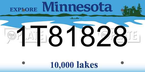 1T81828 Minnesota License Plate