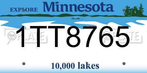 1TT8765 Minnesota License Plate