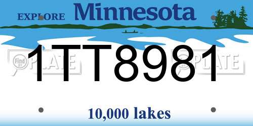 1TT8981 Minnesota License Plate