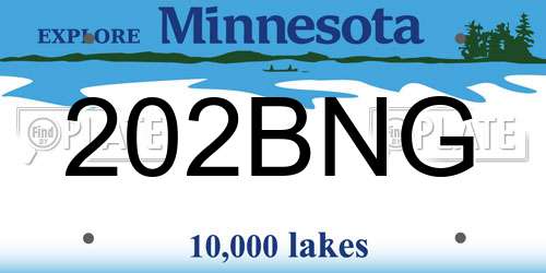202BNG Minnesota License Plate