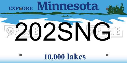 202SNG Minnesota License Plate