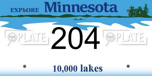 204 Minnesota License Plate