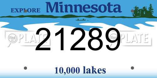 21289 Minnesota License Plate