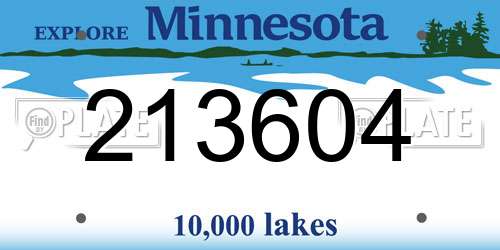213604 Minnesota License Plate
