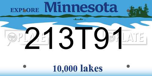 213T91 Minnesota License Plate