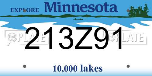 213Z91 Minnesota License Plate