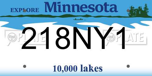 218NY1 Minnesota License Plate
