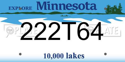 222T64 Minnesota License Plate