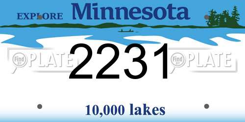 2231 Minnesota License Plate