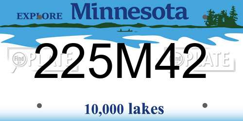 225M42 Minnesota License Plate