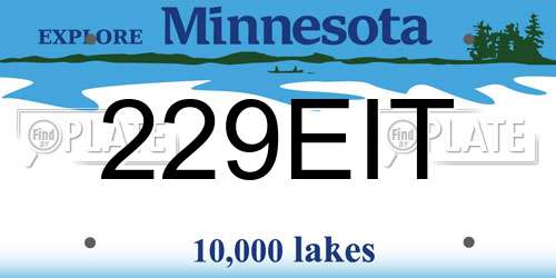 229EIT Minnesota License Plate